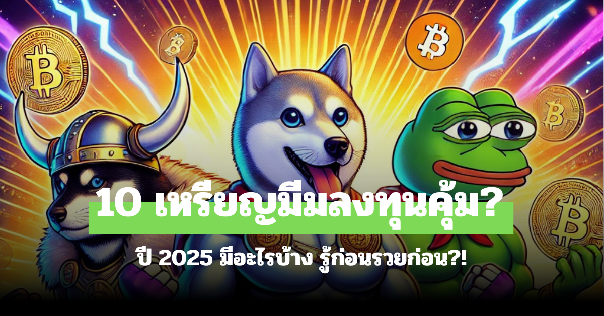 เหรียญมีม น่าลงทุน 2025